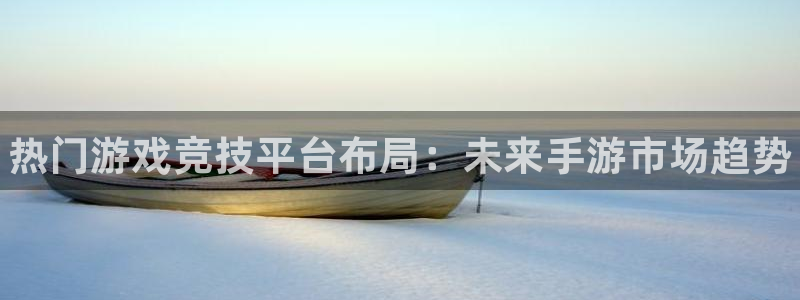 奇亿娱乐平台负责人：热门游戏竞技平台布局：未来手游市场趋势