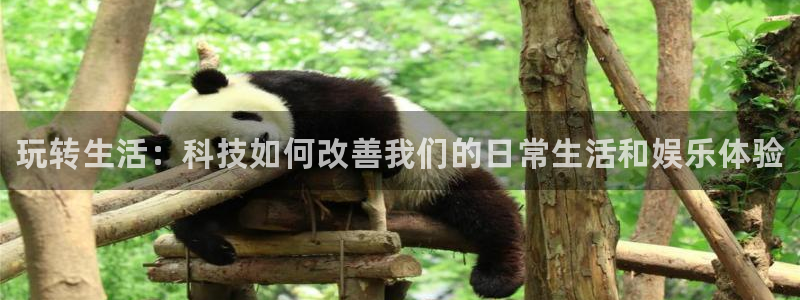 奇亿娱乐什么意思：玩转生活：科技如何改善我们的日常生活和娱乐