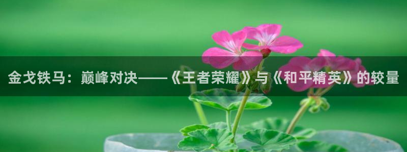 奇亿娱乐网址官网：金戈铁马：巅峰对决——《王者荣耀》与《和平