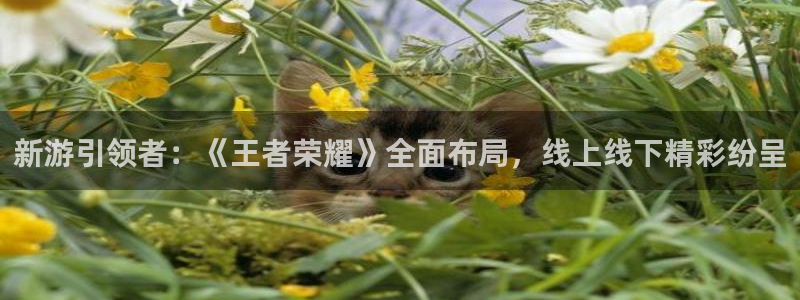 奇亿娱乐注册地址：新游引领者：《王者荣耀》全面布局，线上线下