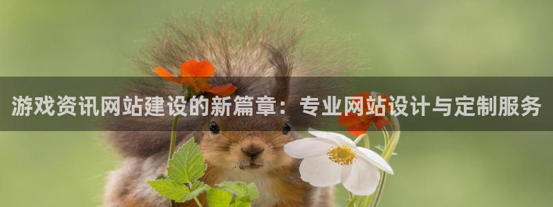 奇亿娱乐4招商：游戏资讯网站建设的新篇章：专业网站设计与定制