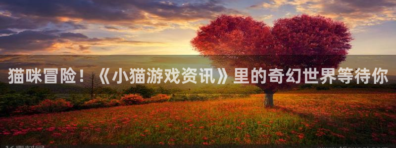 沐春奇亿娱乐：猫咪冒险！《小猫游戏资讯》里的奇幻世界等待你