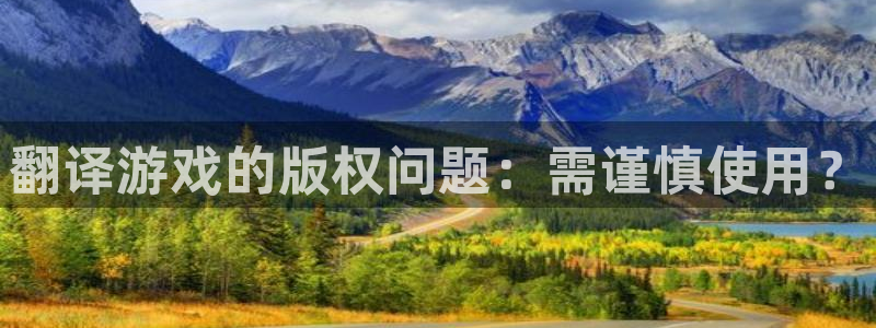 奇亿娱乐什么意思：翻译游戏的版权问题：需谨慎使用？