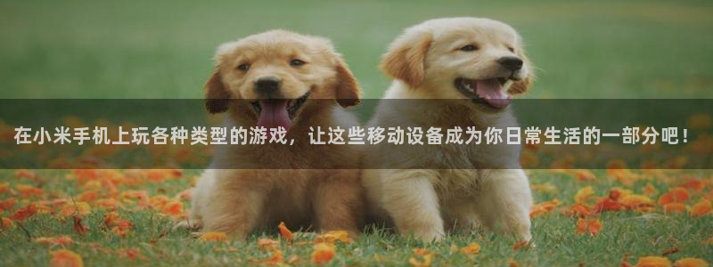 奇亿娱乐首页网址：在小米手机上玩各种类型的游戏，让这些移动设