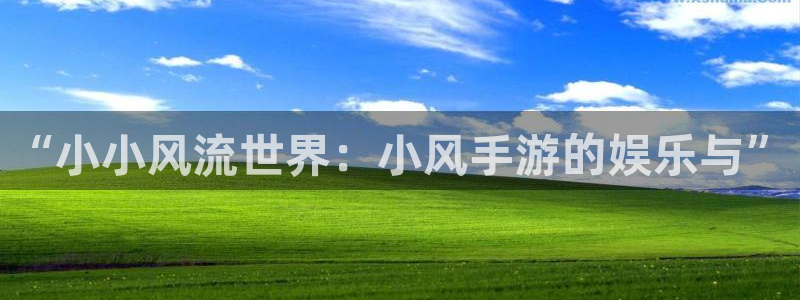 奇亿娱乐十年信誉稳定了吗：“小小风流世界：小风手游的娱乐与”